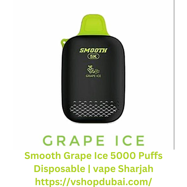SMOOTH 5k Grape Ice 5000 Puffs Disposable vape Sharjah