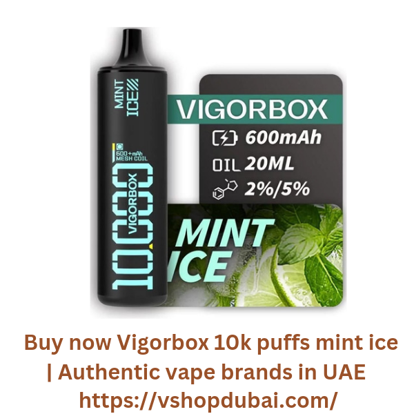 Buy now Vigorbox 10k puffs mint ice Authentic vape brands