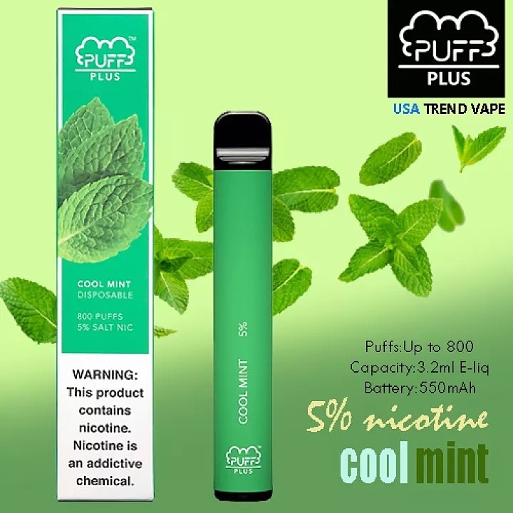 Puff plus cool mint disposable vape