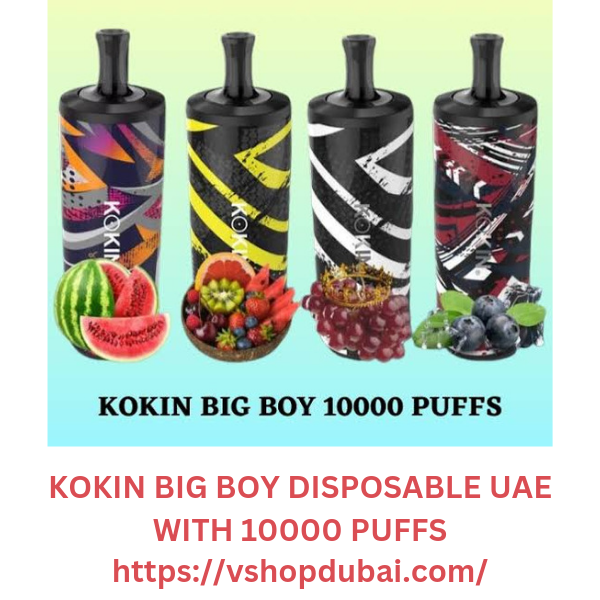 Kokin Big Boy Disposable UAE